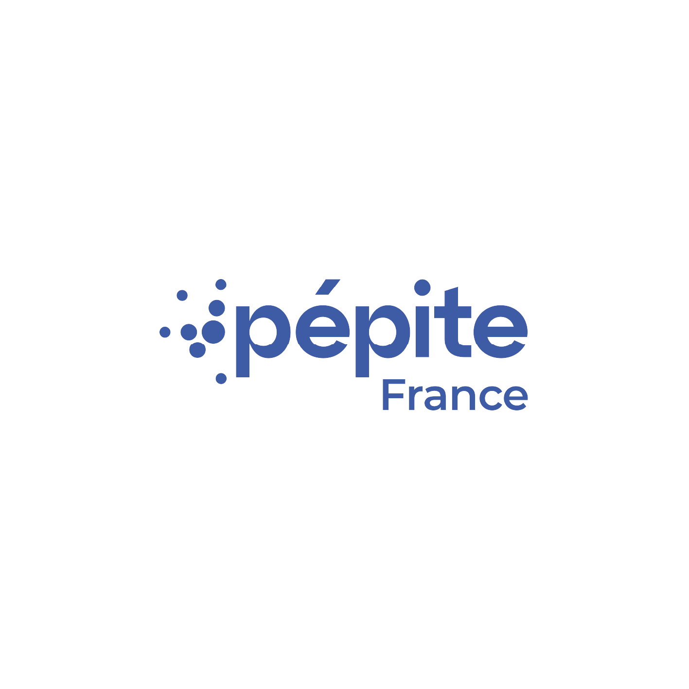 logo pépite france partenaire charlie solutions