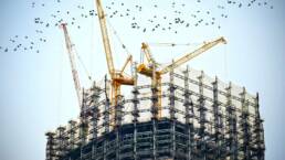 Photo du haut d'un immeuble avec 3 grues construisant l'échafaudage. Une nuée d'oiseau survole la scène.