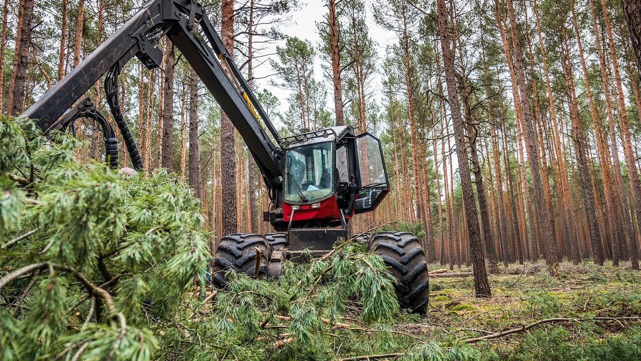Photographie d'un véhicule d'entretien des espaces verts qui coupe des branches en forêt.